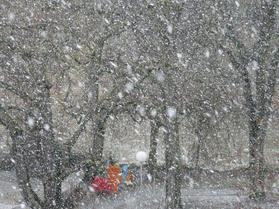 В Словакии 40 машин столкнулись из-за снежной бури и гололёда