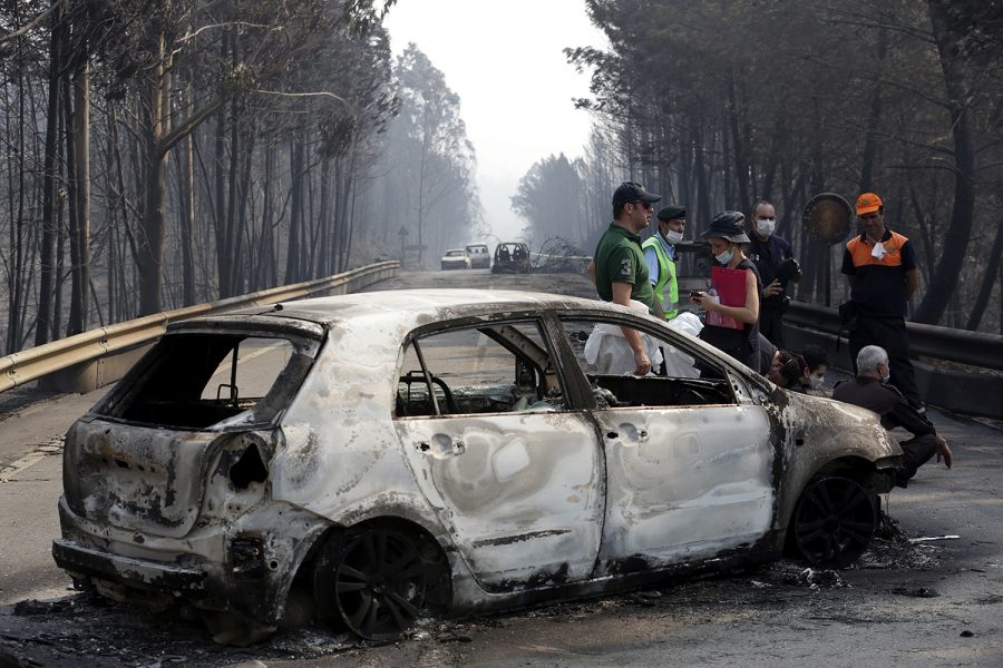 В Португалии 20 человек заживо сгорели в лесном пожаре