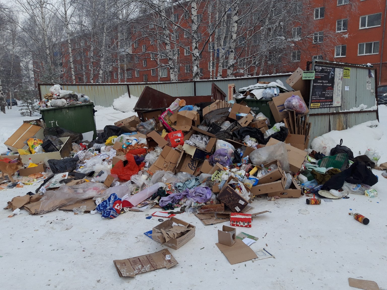 Мусор в городе картинки