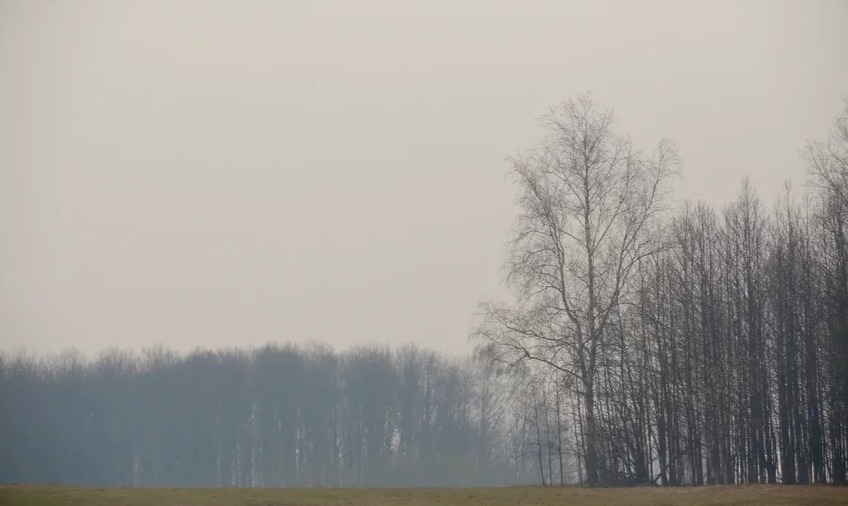 Город в тумане: в воздухе Кемерова зафиксировали превышение отравляющих веществ