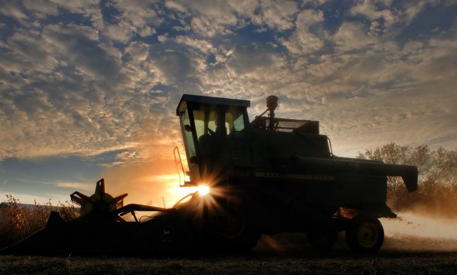 Объем кредитования Россельхозбанком сезонных работ увеличился на четверть
