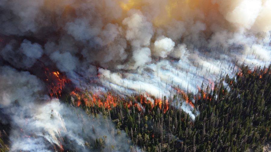 Специалисты рассказали о масштабе лесных пожаров в Кузбассе