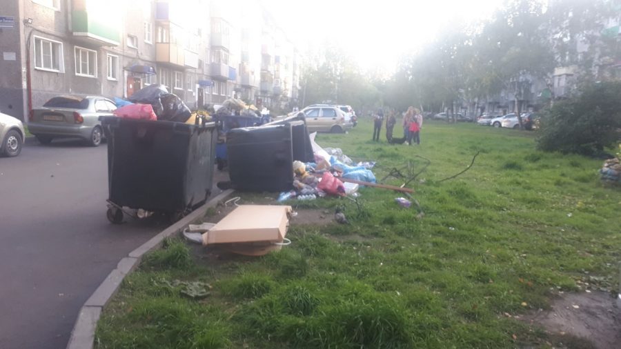 Соцсети: в Кузбассе в мусорке нашли части тела