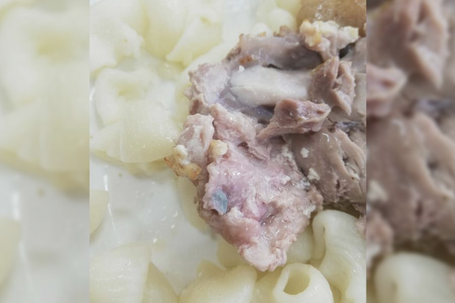 Фото: в Кемерове школьники нашли в своих обедах плесень и волосы