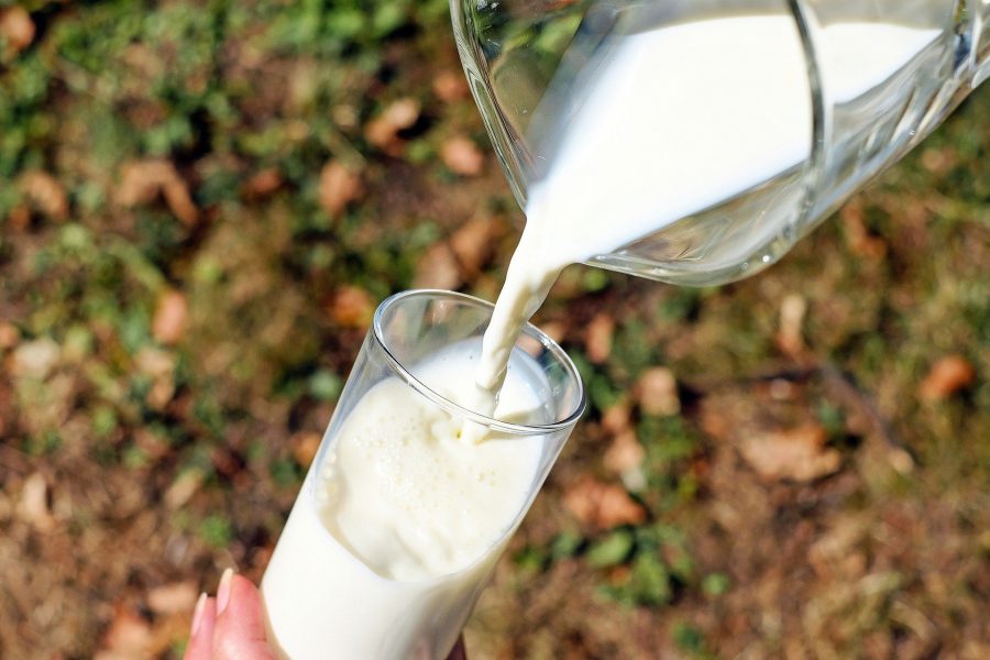 Россельхозбанк и Союзмолоко будут совместно повышать эффективность молочной отрасли