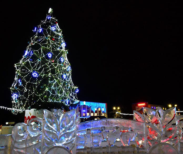 В кузбасском городе новогодние ёлки купят у жителей