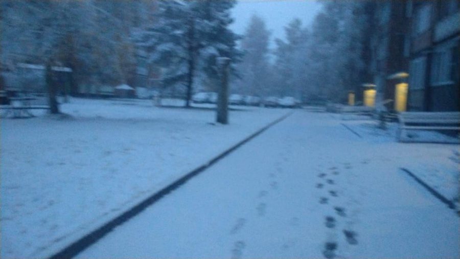 «Уже можно кататься»: снежное видео из Шерегеша 