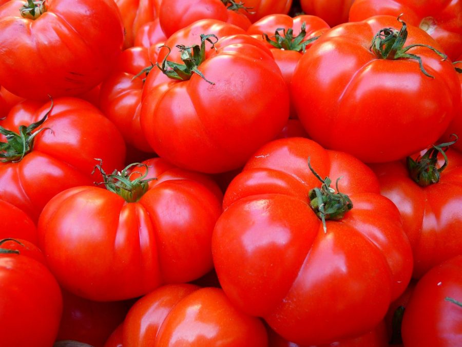 АО СК «РСХБ-Страхование»: тепличные хозяйства чаще всего страхуют урожай томатов