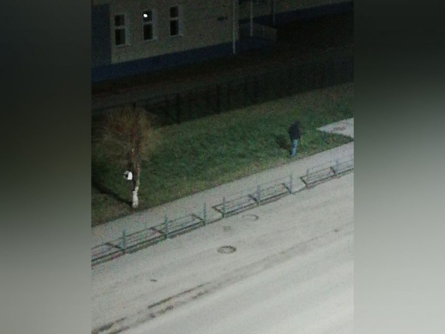 В Гурьевске неизвестный ночью сканировал металлоискателем периметр школы