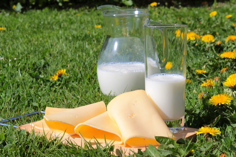 Молочный продукт из Кузбасса назвали фальсификатом